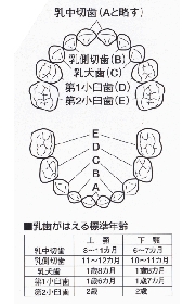 子供の予防歯科